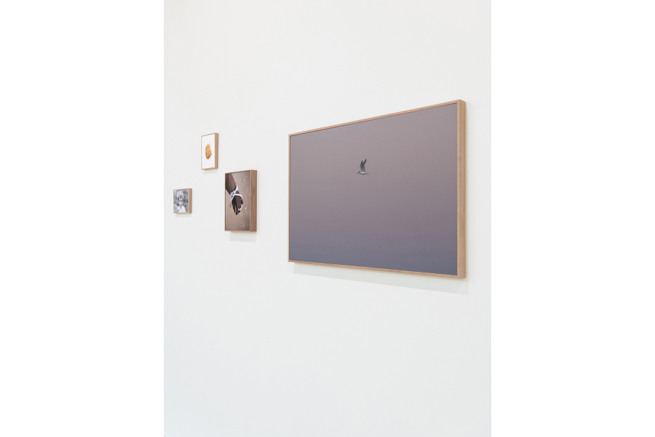 Chambre 207 024 Chambre 207 024