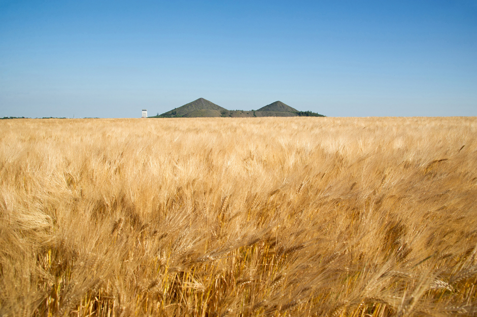 Campagne_photo_08 Campagne_photo_08
