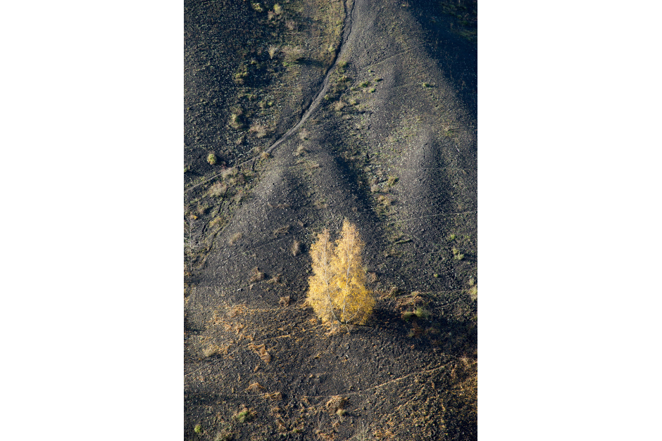 Campagne_photo_24 Campagne_photo_24