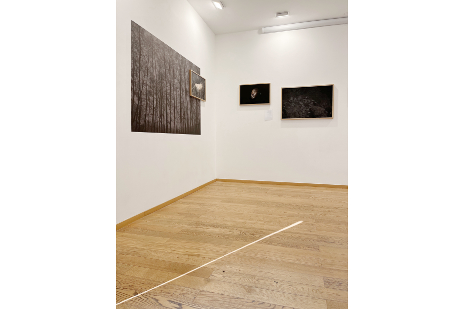 Expo Maupetit 01 Expo Maupetit 01