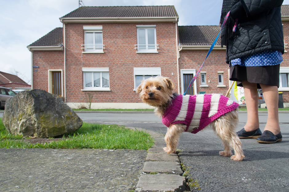 Campagne_photo_40 Campagne_photo_40
